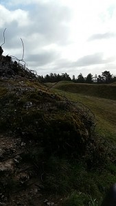 20160329_094359_resized