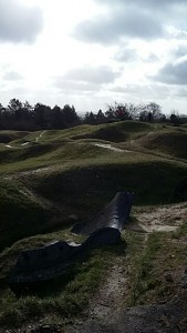 20160329_094447_resized