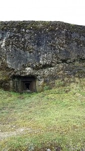 20160329_094638_resized