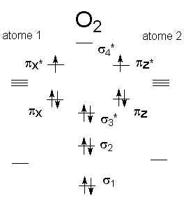 wpeB.jpg (6967 octets)